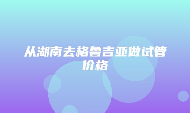 从湖南去格鲁吉亚做试管价格