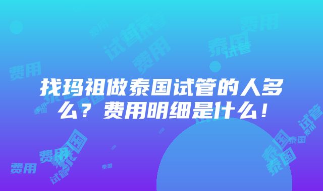 找玛祖做泰国试管的人多么？费用明细是什么！