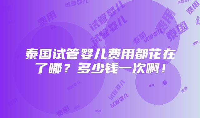 泰国试管婴儿费用都花在了哪？多少钱一次啊！