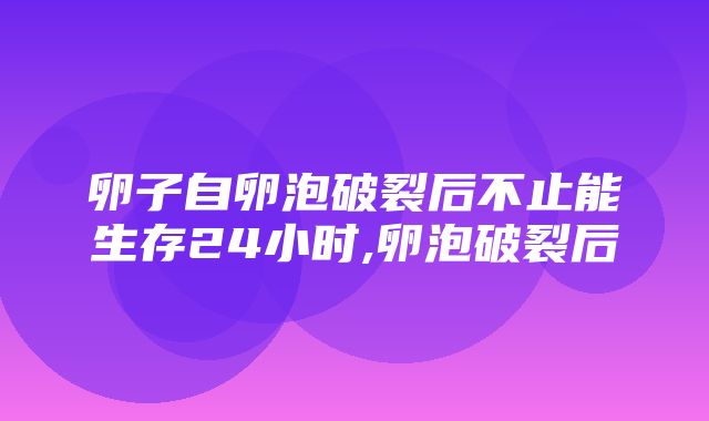 卵子自卵泡破裂后不止能生存24小时,卵泡破裂后