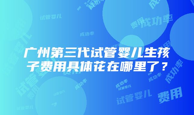 广州第三代试管婴儿生孩子费用具体花在哪里了？