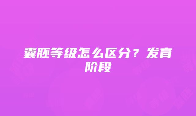 囊胚等级怎么区分？发育阶段