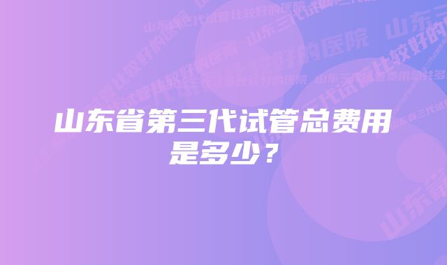 山东省第三代试管总费用是多少？