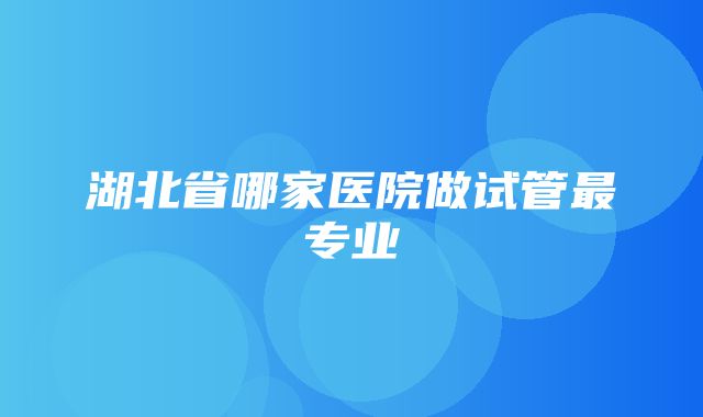 湖北省哪家医院做试管最专业