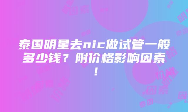 泰国明星去nic做试管一般多少钱？附价格影响因素！