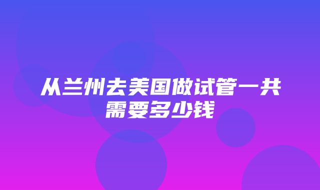 从兰州去美国做试管一共需要多少钱