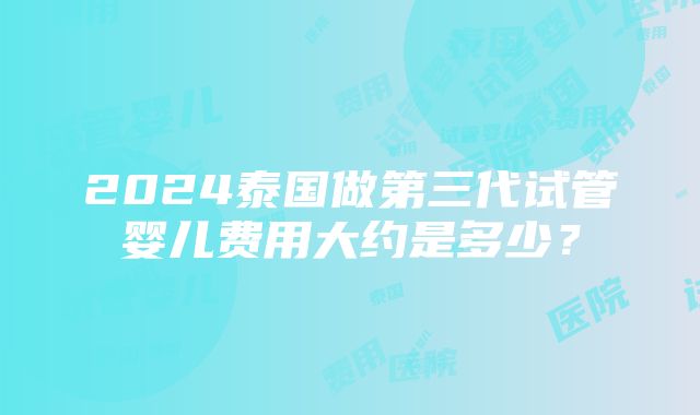 2024泰国做第三代试管婴儿费用大约是多少？