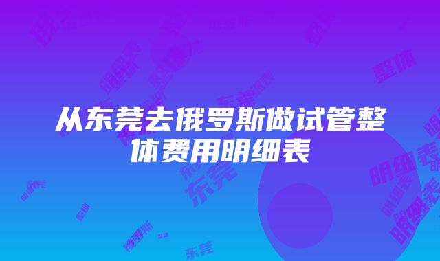 从东莞去俄罗斯做试管整体费用明细表