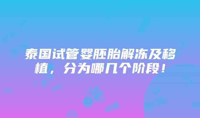 泰国试管婴胚胎解冻及移植，分为哪几个阶段！