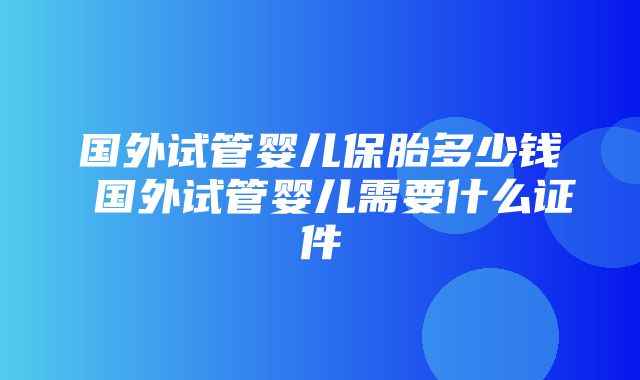 国外试管婴儿保胎多少钱 国外试管婴儿需要什么证件