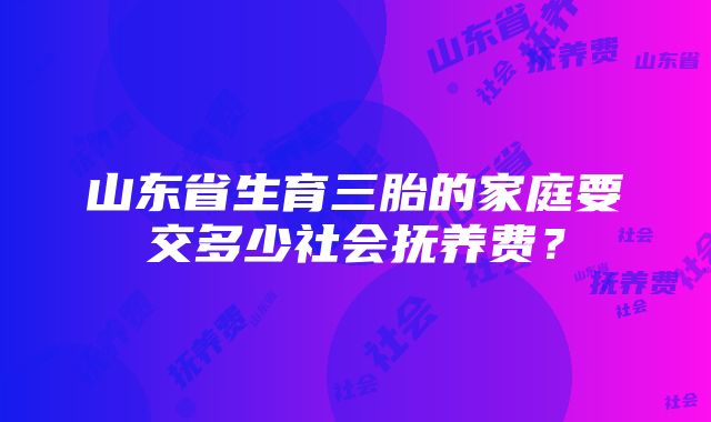 山东省生育三胎的家庭要交多少社会抚养费？