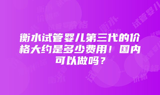 衡水试管婴儿第三代的价格大约是多少费用！国内可以做吗？