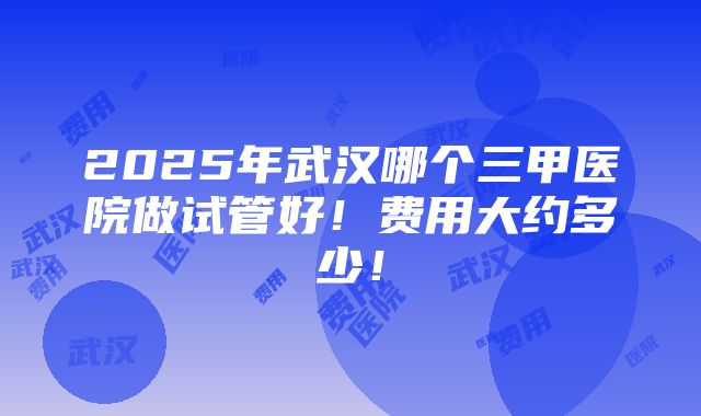 2025年武汉哪个三甲医院做试管好！费用大约多少！