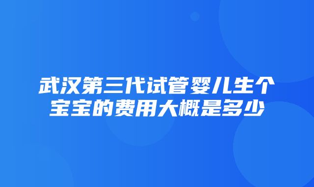 武汉第三代试管婴儿生个宝宝的费用大概是多少