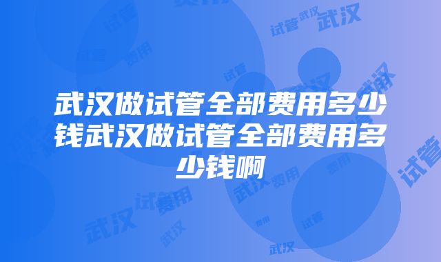 武汉做试管全部费用多少钱武汉做试管全部费用多少钱啊