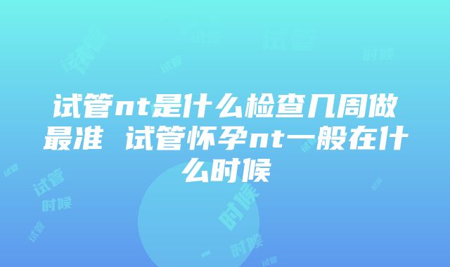 试管nt是什么检查几周做最准 试管怀孕nt一般在什么时候