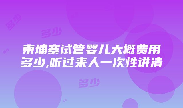 柬埔寨试管婴儿大概费用多少,听过来人一次性讲清