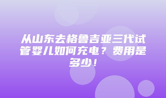 从山东去格鲁吉亚三代试管婴儿如何充电？费用是多少！