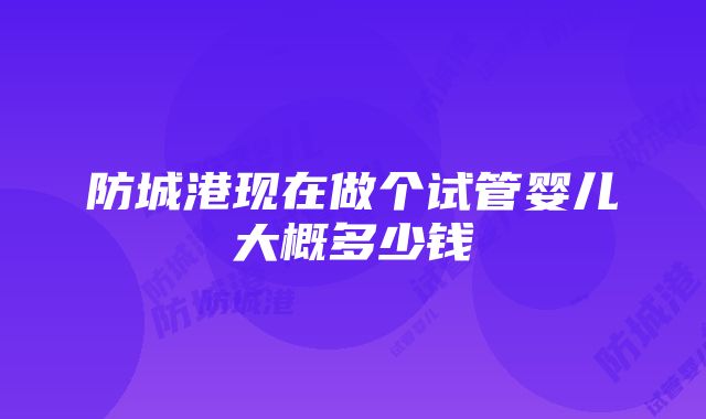 防城港现在做个试管婴儿大概多少钱