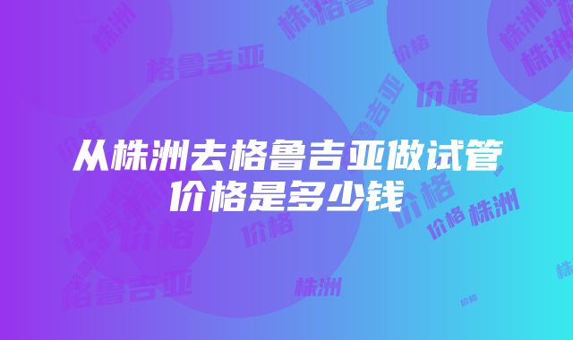 从株洲去格鲁吉亚做试管价格是多少钱