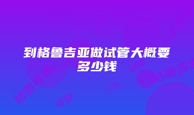 到格鲁吉亚做试管大概要多少钱