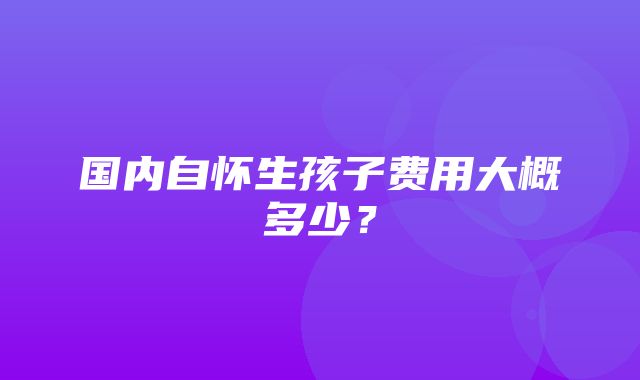 国内自怀生孩子费用大概多少？