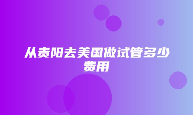 从贵阳去美国做试管多少费用