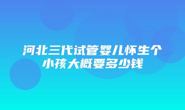 河北三代试管婴儿怀生个小孩大概要多少钱