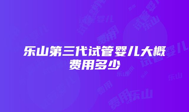 乐山第三代试管婴儿大概费用多少