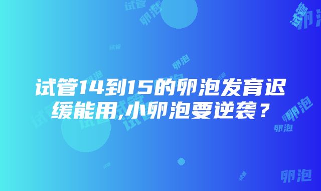 试管14到15的卵泡发育迟缓能用,小卵泡要逆袭？