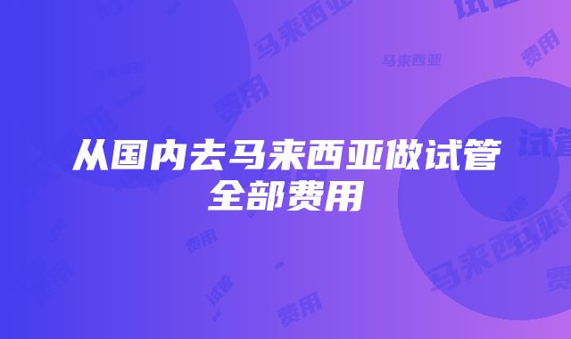 从国内去马来西亚做试管全部费用