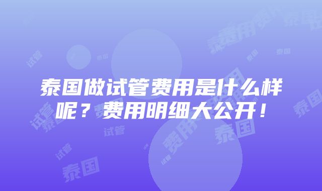 泰国做试管费用是什么样呢？费用明细大公开！