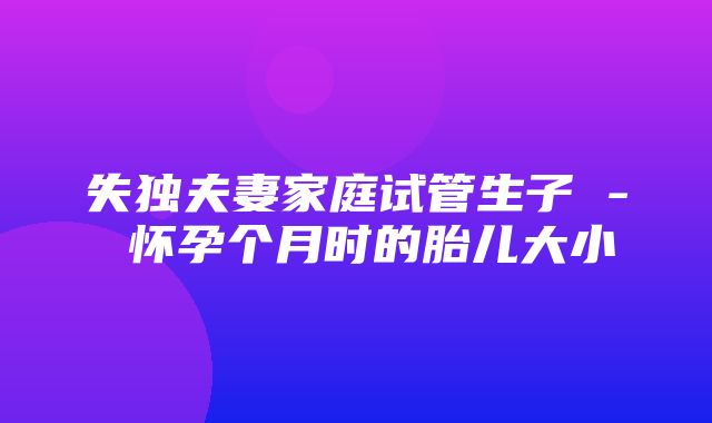 失独夫妻家庭试管生子 - 怀孕个月时的胎儿大小