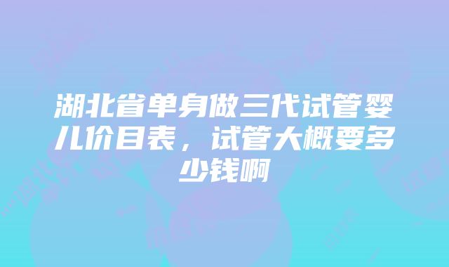 湖北省单身做三代试管婴儿价目表，试管大概要多少钱啊