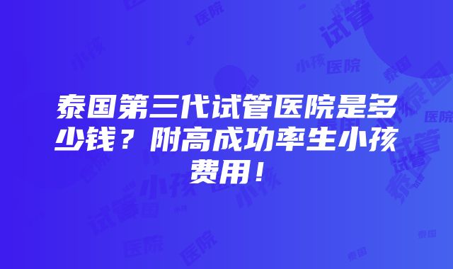 泰国第三代试管医院是多少钱？附高成功率生小孩费用！