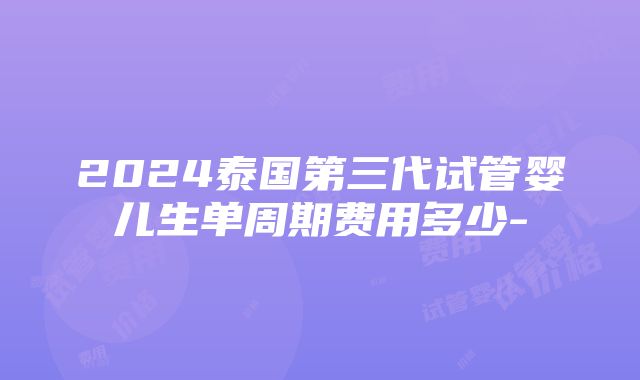 2024泰国第三代试管婴儿生单周期费用多少-