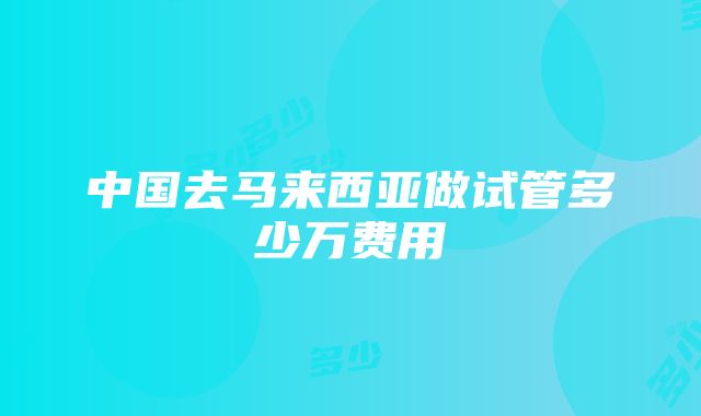 中国去马来西亚做试管多少万费用