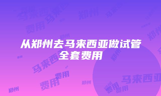 从郑州去马来西亚做试管全套费用