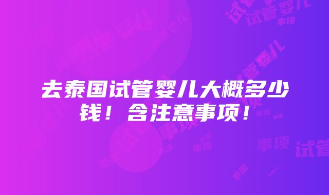 去泰国试管婴儿大概多少钱！含注意事项！