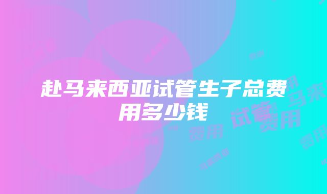 赴马来西亚试管生子总费用多少钱