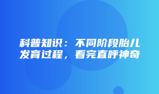 科普知识：不同阶段胎儿发育过程，看完直呼神奇