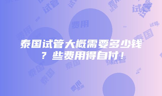 泰国试管大概需要多少钱？些费用得自付！