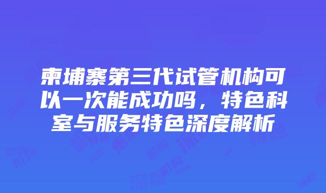 柬埔寨第三代试管机构可以一次能成功吗，特色科室与服务特色深度解析