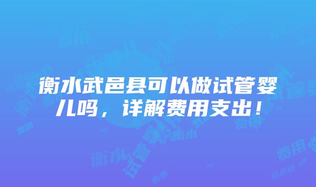 衡水武邑县可以做试管婴儿吗，详解费用支出！