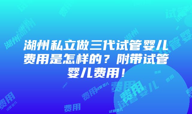 湖州私立做三代试管婴儿费用是怎样的？附带试管婴儿费用！