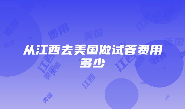 从江西去美国做试管费用多少