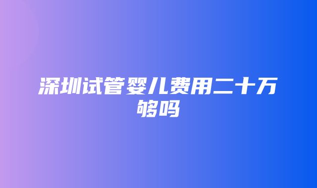 深圳试管婴儿费用二十万够吗