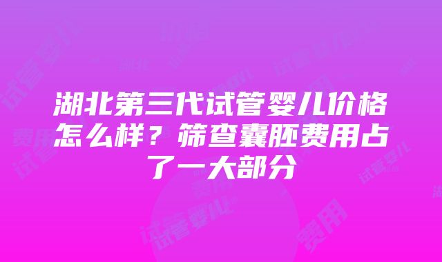 湖北第三代试管婴儿价格怎么样？筛查囊胚费用占了一大部分