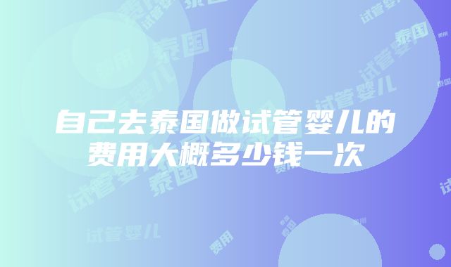 自己去泰国做试管婴儿的费用大概多少钱一次