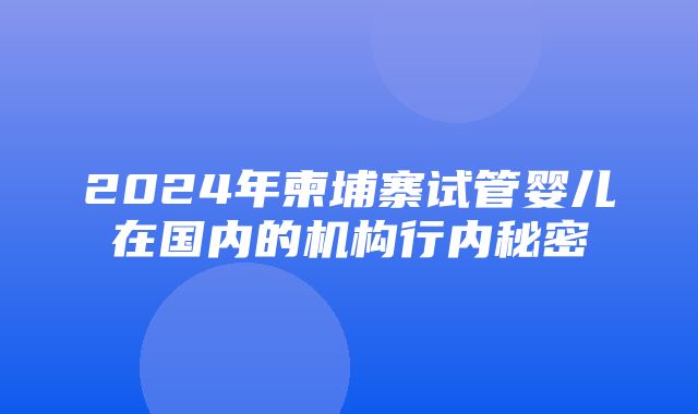 2024年柬埔寨试管婴儿在国内的机构行内秘密